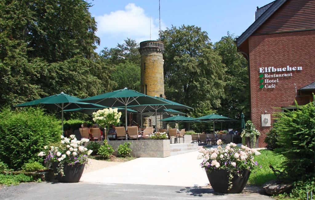 Elfbuchen